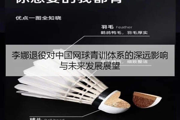 李娜退役对中国网球青训体系的深远影响与未来发展展望